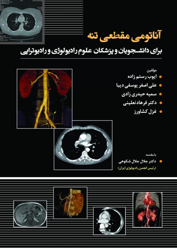 آناتومی مقطعی تنه