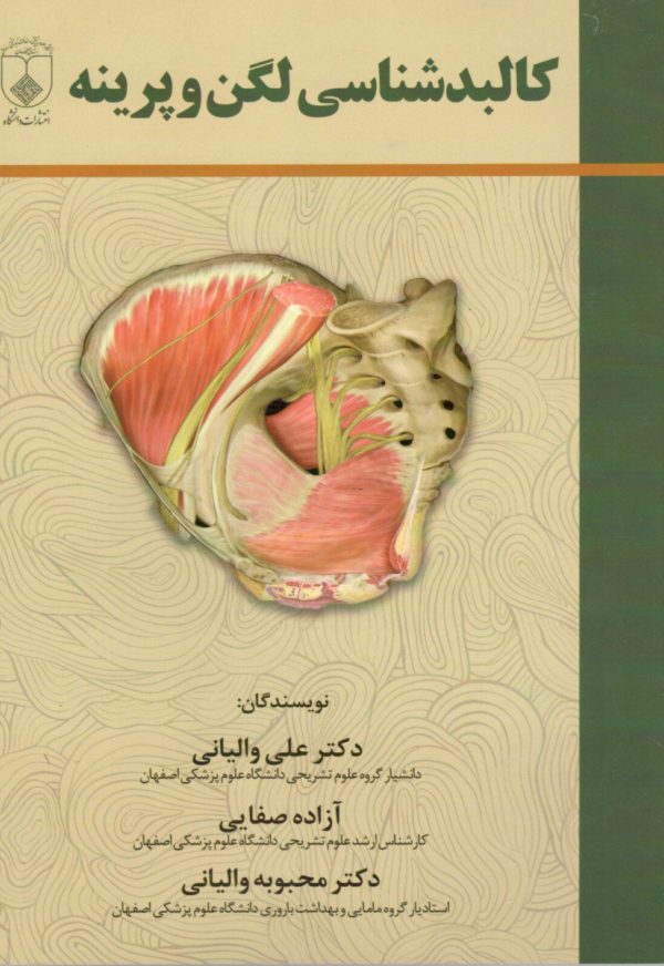 کالبد شناسی لگن و پرینه