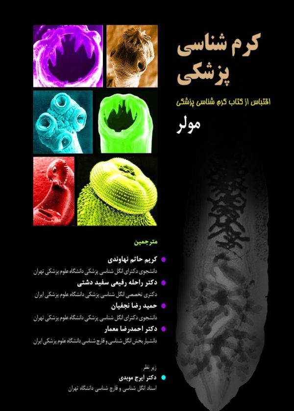 کرم شناسی پزشکی مولر