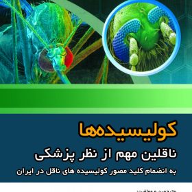 کولیسیده ها