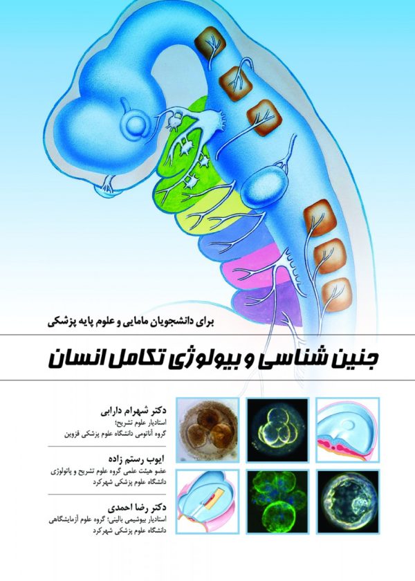 جنین شناسی و بیولوژی تکامل انسان جنین شناسی و بیولوژی تکامل انسان