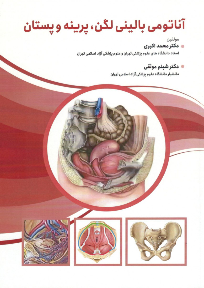 آناتومی بالینی لگن پرینه و پستان